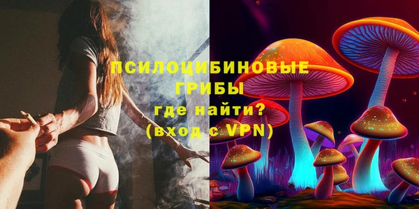 прущие грибы Алексеевка